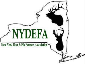 nydefa_logoplain.jpg